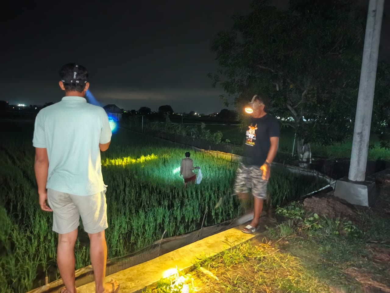 GROPYOKAN &ndash; Para petani di Desa Gredek, Kecamatan Duduksampeyan, saat mengikuti aksi gropyokan massal untuk membasmi tikus di lahan pertanian mereka.