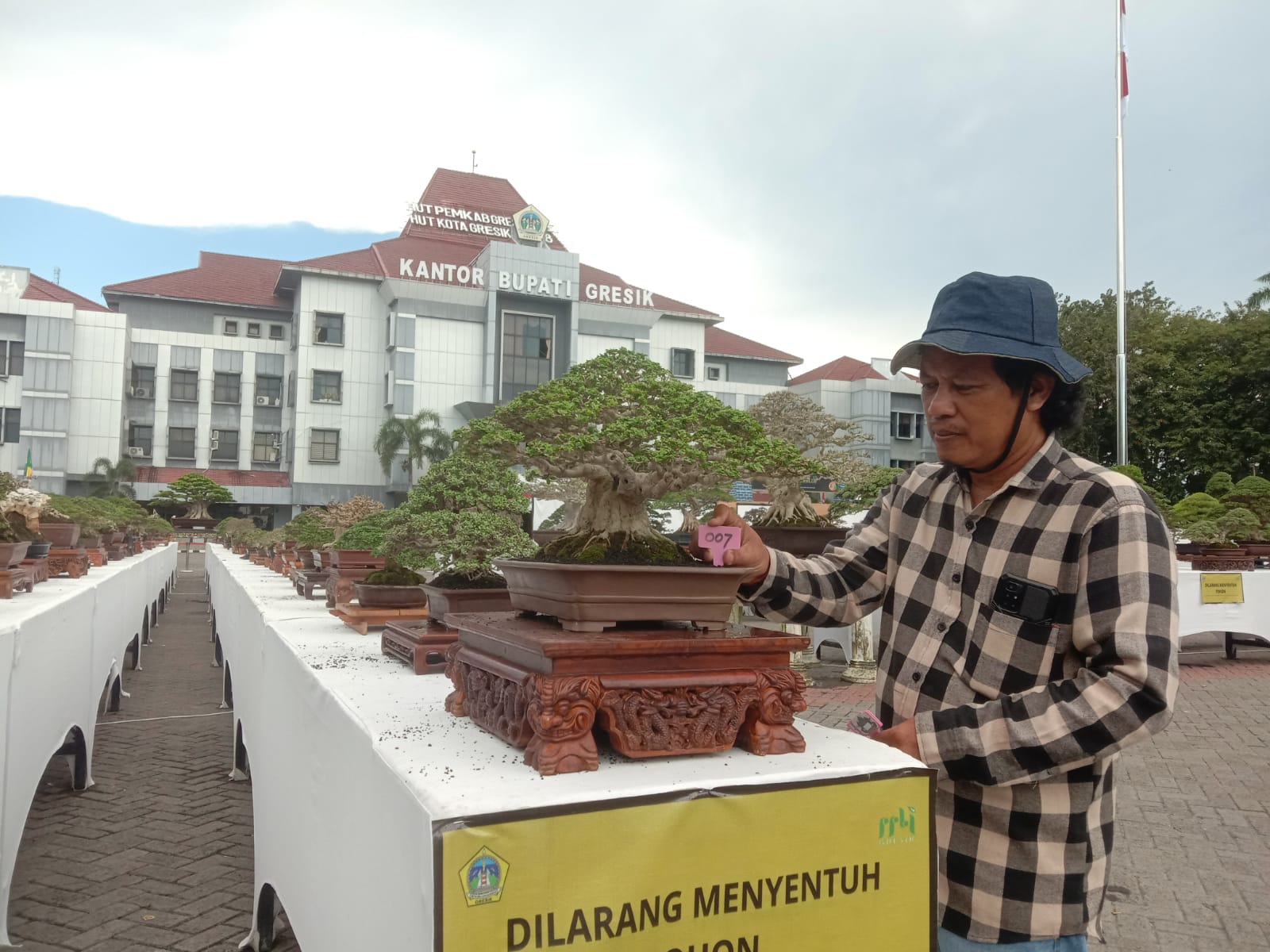 MELIHAT : Sekretariat PPBI cabang Gresik dan Sekretariat Pamnas, Yudhi Setiawan saat melihat bonsai di halaman kantor Bupati Gresik.
