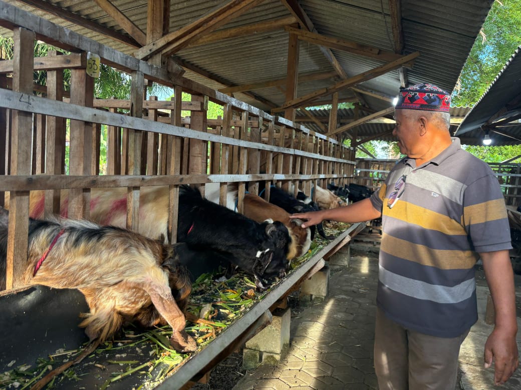 Imam tak hanya menjual hewan kurban namun membuka jasa penitipan hewan hingga hari H Iduladha tanpa tambahan biaya.