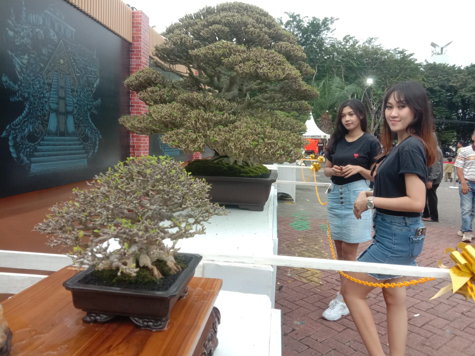 Dongkrak Ekonomi Daerah, Ribuan Bonsai Hiasi Area Kantor Pemkab