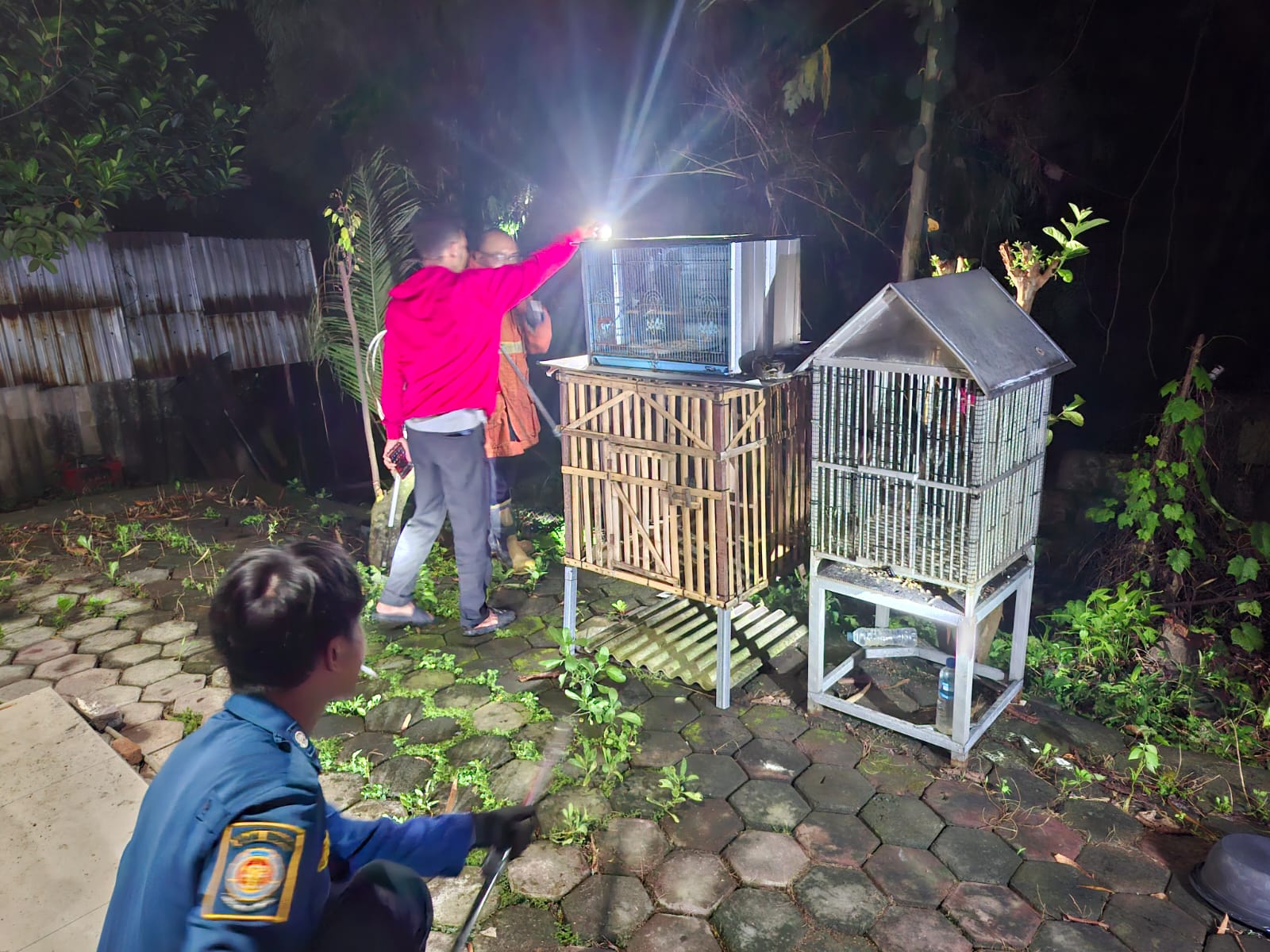 EVAKUASI: Petugas Damkarla Gresik mengevakuasi ular piton sepanjang 2 meter dari kandang burung di Jalan Mayjen Sungkono Gang 24D/30 Gresik.