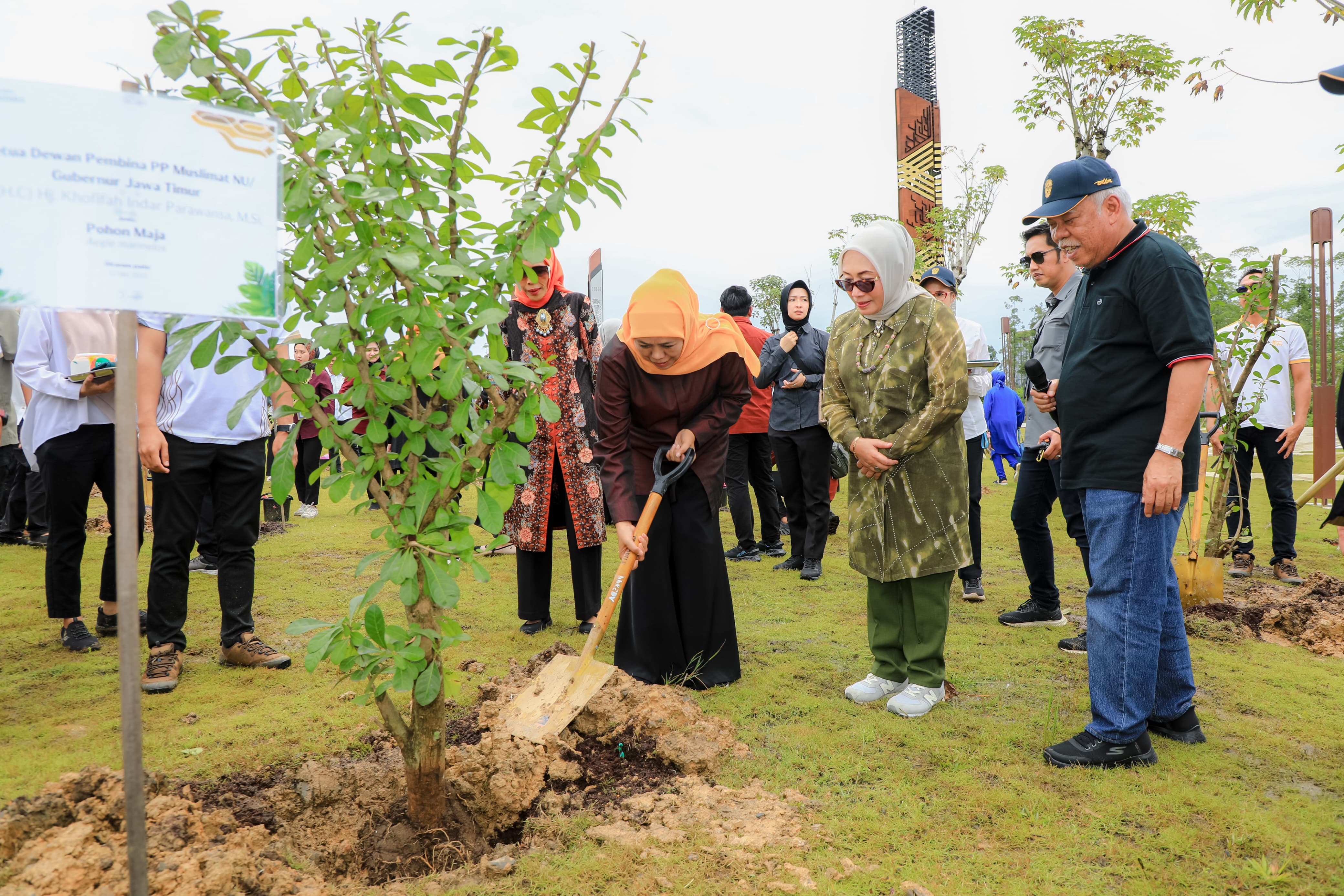 Kolaborasi Lintas Sektor di IKN Bersama Gubernur Jatim Khofifah saat Penanaman Pohon Maja di Kawasan IKN