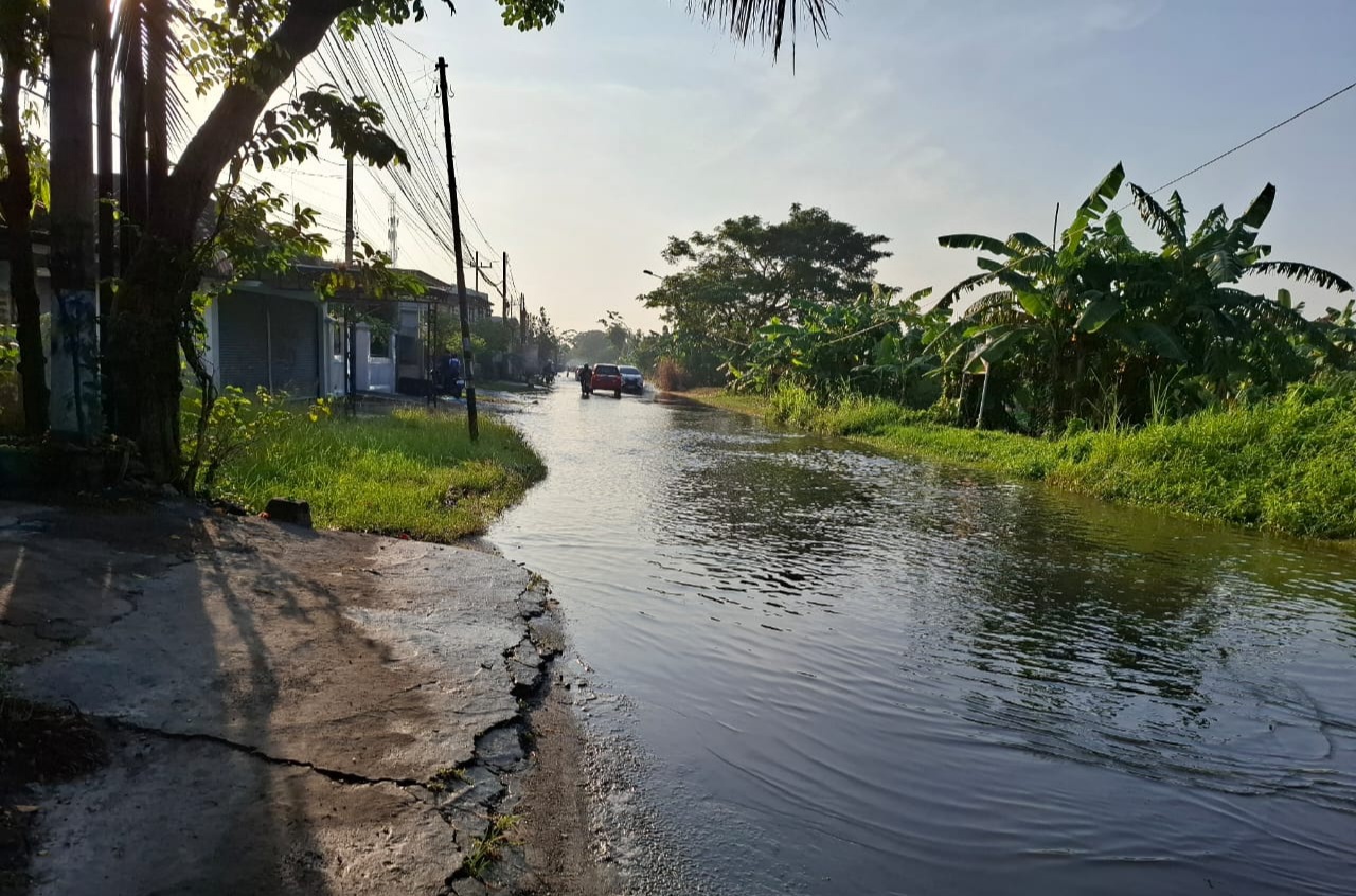 BANJIR SURUT: Kondisi banjir di Kecamatan Cerme mulai berangsur surut meski masih merendam lahan produktif warga.