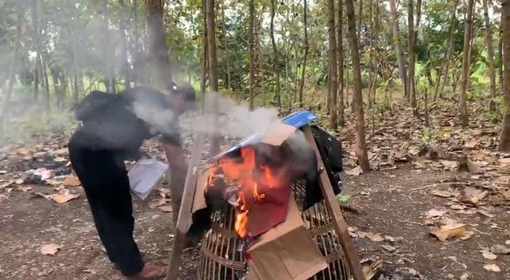 BAKAR: Polsek Menganti menggerebek dan membakar arena judi sabung ayam di Desa Pengalangan, Gresik.