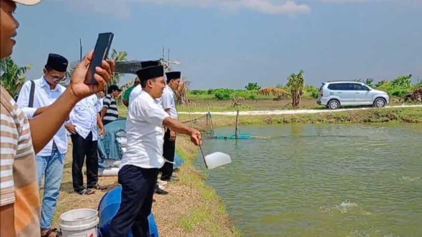 PEMBELAJARAN: Puluhan Pengurus SNNU Pamekasan belajar langsung teknik budidaya bandeng di Ujungpangkah, Gresik.