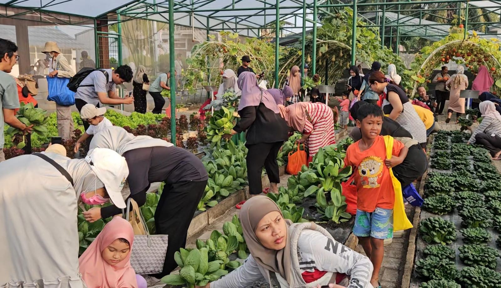 Direktur Utama PT Petrokimia Gresik, Daconi Khotob, menuturkan kegiatan ini menjadi wujud nyata dukungan terhadap ketahanan pangan nasional sekaligus kontribusi sektor pupuk sebagai input pertanian.