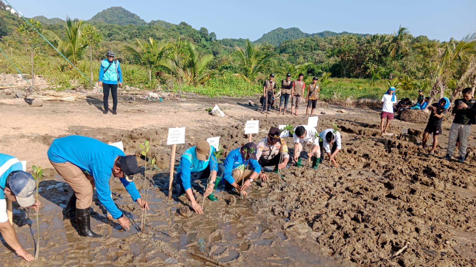 TANAM MANGROVE: Anggota Polsek Tambak bersama warga dan Forkopimcam saat menanam mangrove di pesisir Dusun Dedawang, Desa Teluk Jatidawang, Kecamatan Tambak, Gresik.
