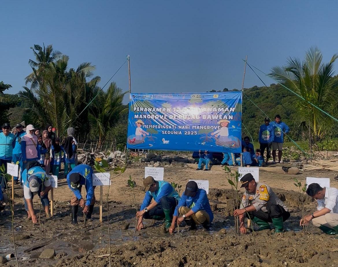 Memperingati hari Mangrove Sedunia, PT PLN Nusantara Power UP Gresik dan mahasiswa UNISDA tanam 10.000 bibit mangrove.