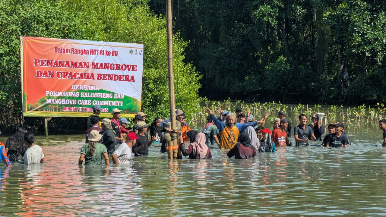 Khidmat : Penanaman Mangrove dan Upacara meriahkan peringatan HUT ke-80 RI di Desa Manyar Sidomukti