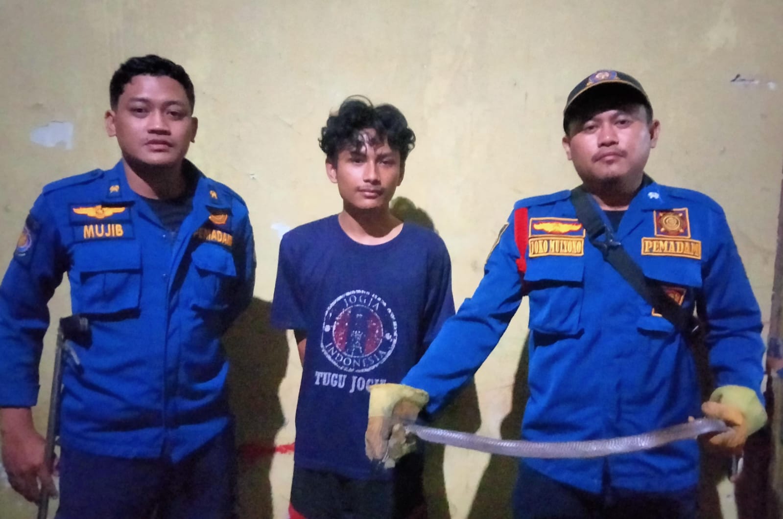 EVAKUASI : Petugas Damkarla Gresik saat mengevakuasi ular cobra di rumah milik Warga Desa Sumberwaru, Kecamatan Wringinanom, Gresik.
