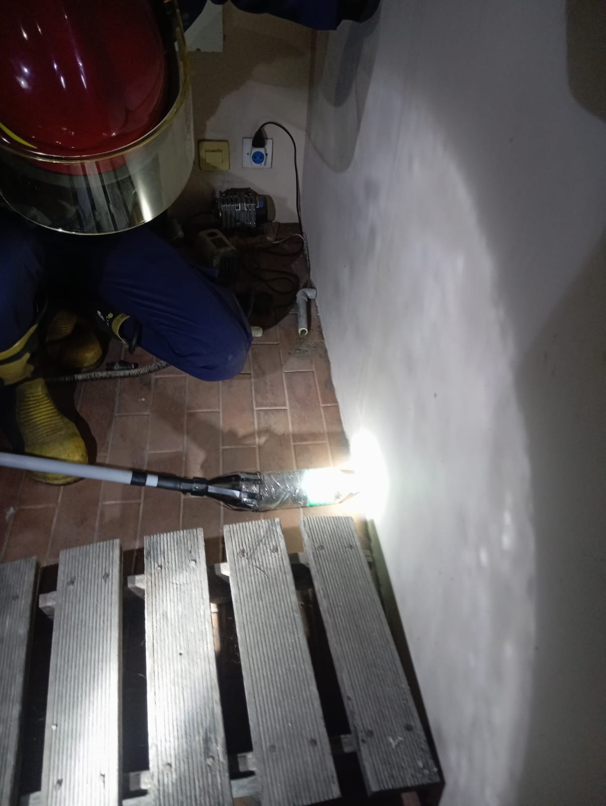 DIEVAKUASI : Petugas Damkarla Kabupaten Gresik saat melakukan evakuasi ular kepala dua di rumah warga Jalan Raya Srembi Dusun Srembi , Desa Kembangan, Kecamatan Kebomas, Kabupaten Gresik.