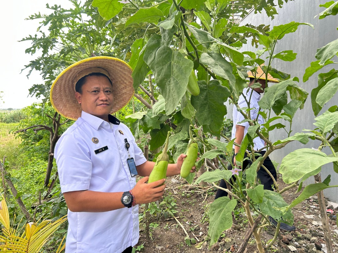 PANEN: Kepala Rutan Kelas IIB Gresik Eko Widiatmoko beserta jajaranya saat melakukan panen buah pepaya dan terong hasil kebun yang ditanam sendiri di area Rutan.