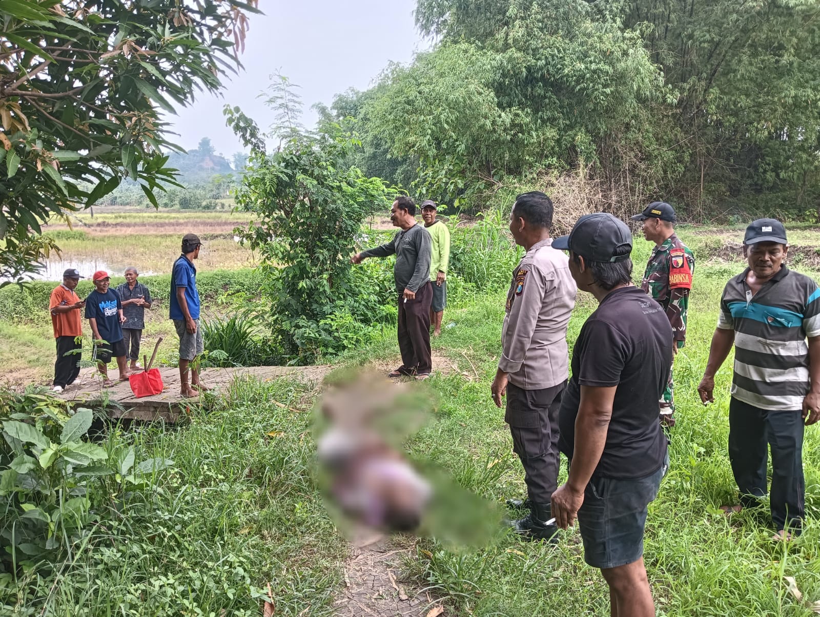 DIEVAKUASI : Anggota Polsek Wringinanom, Koramil dibantu warga dan tenaga medis saat mengevakuasi korban di area persawahan Dusun Bureng, Desa Sumberwaru, Kecamatan Wringinanom, Gresik.