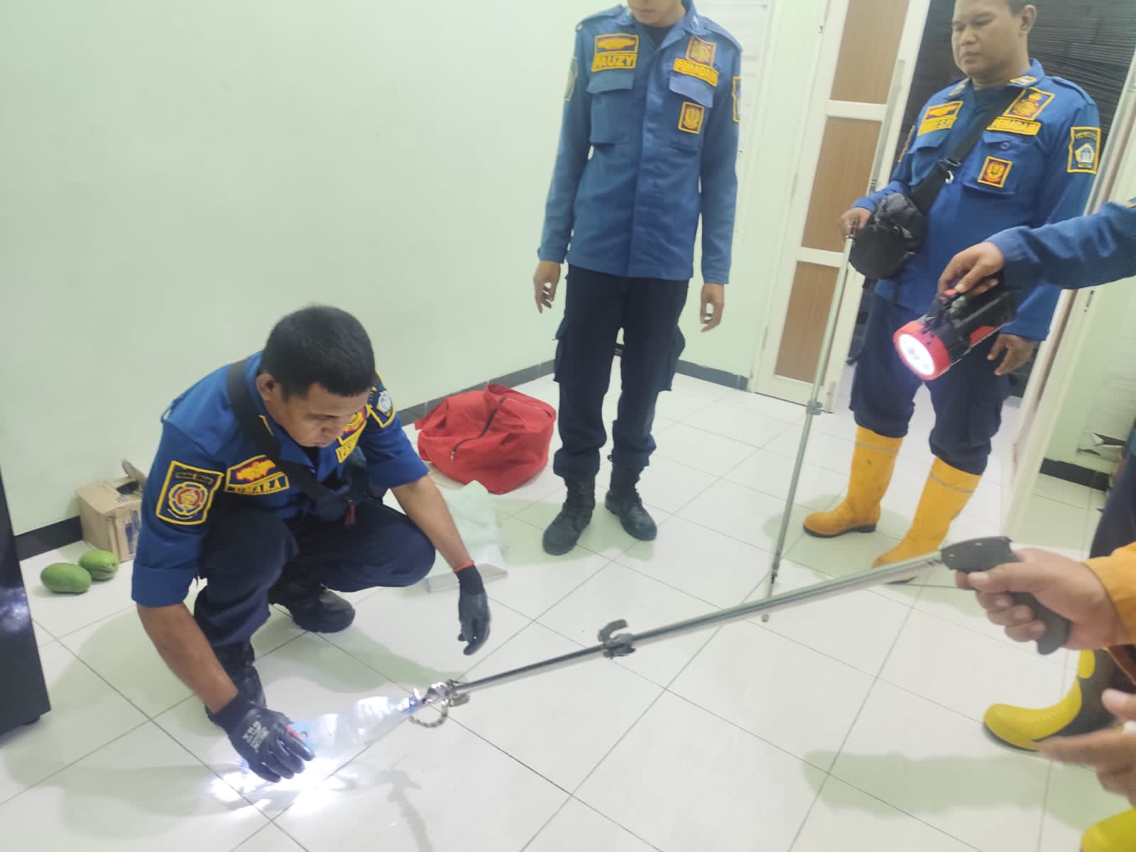 DIEVAKUASI : Petugas Damkarla Kabupaten Gresik saat melakukan evakuasi ular berbisa jenis weling di dalam rumah warga Perum Permata Gardenia 9 Desa Tebalo, Kecamatan Manyar, Gresik.