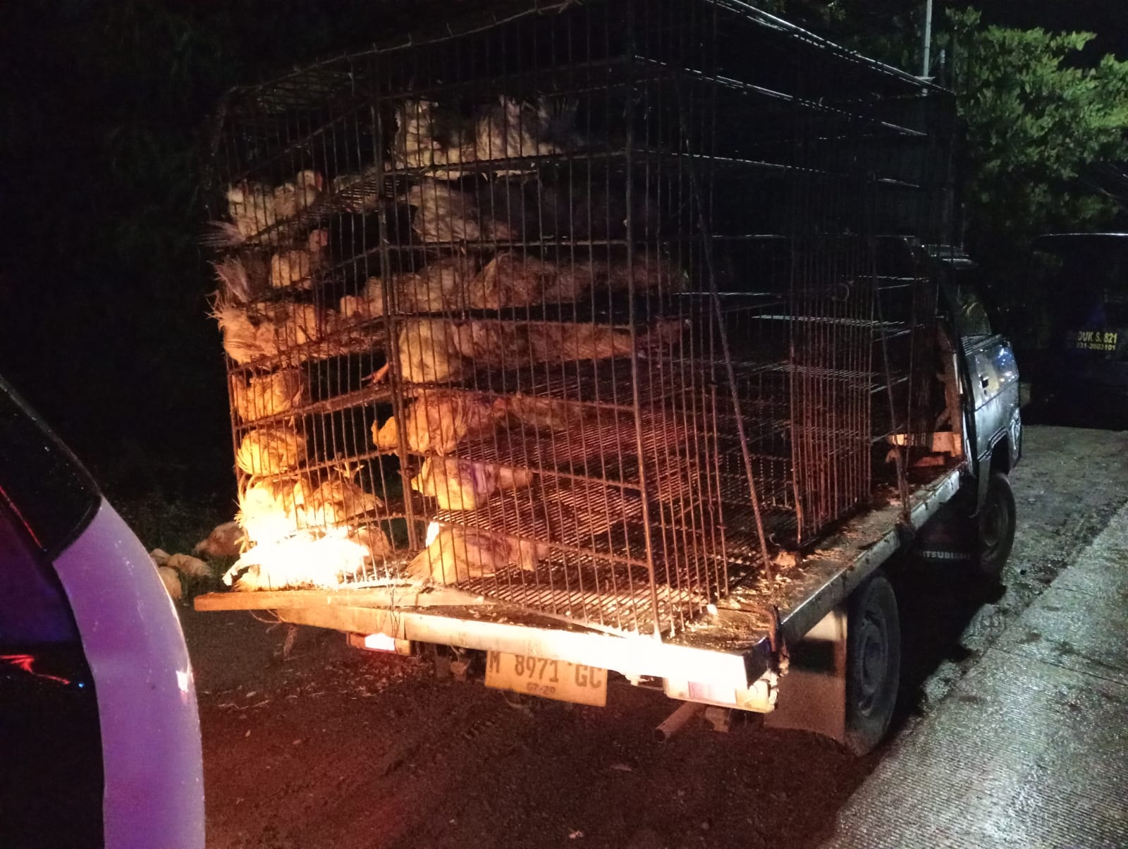 TERGULING : Anggota Polsek Duduksampeyan saat melakukan evakuasi korban laka tunggal di Jalan Raya Tirem tepatnya didepan gapura desa tirem, Kecamatan Duduksampeyan, Gresik.