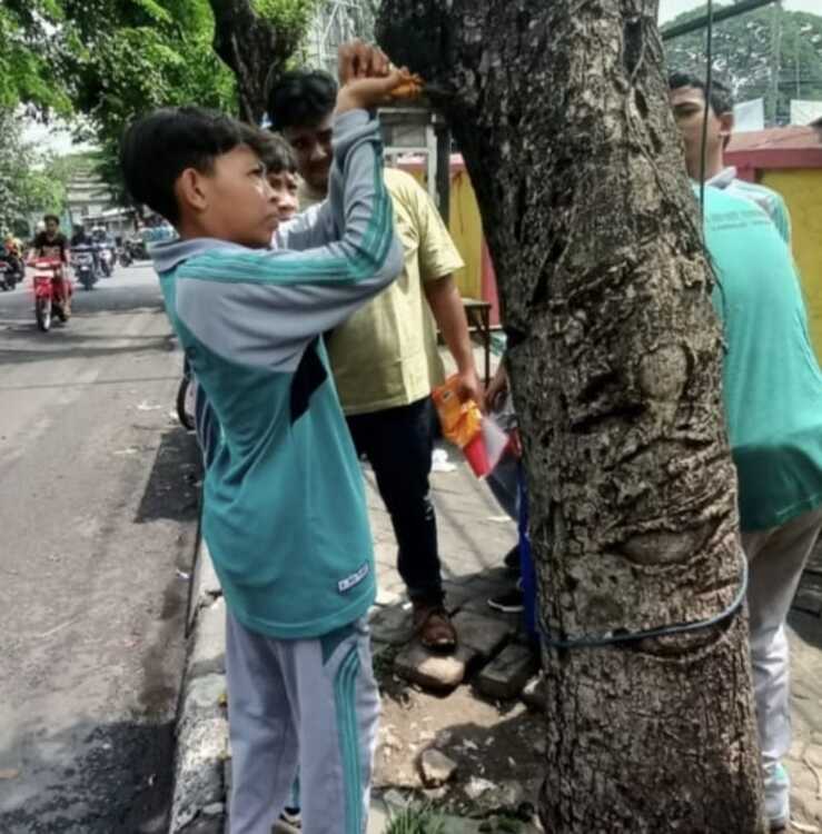 CABUT PAKU : Puluhan siswa bersama komunitas lingkungan EH Gresik melakukan pencabutan ratusan paku yang menancap di pohon di sepanjang Jalan Sunan Giri, Kecamatan Kebomas, Gresik.