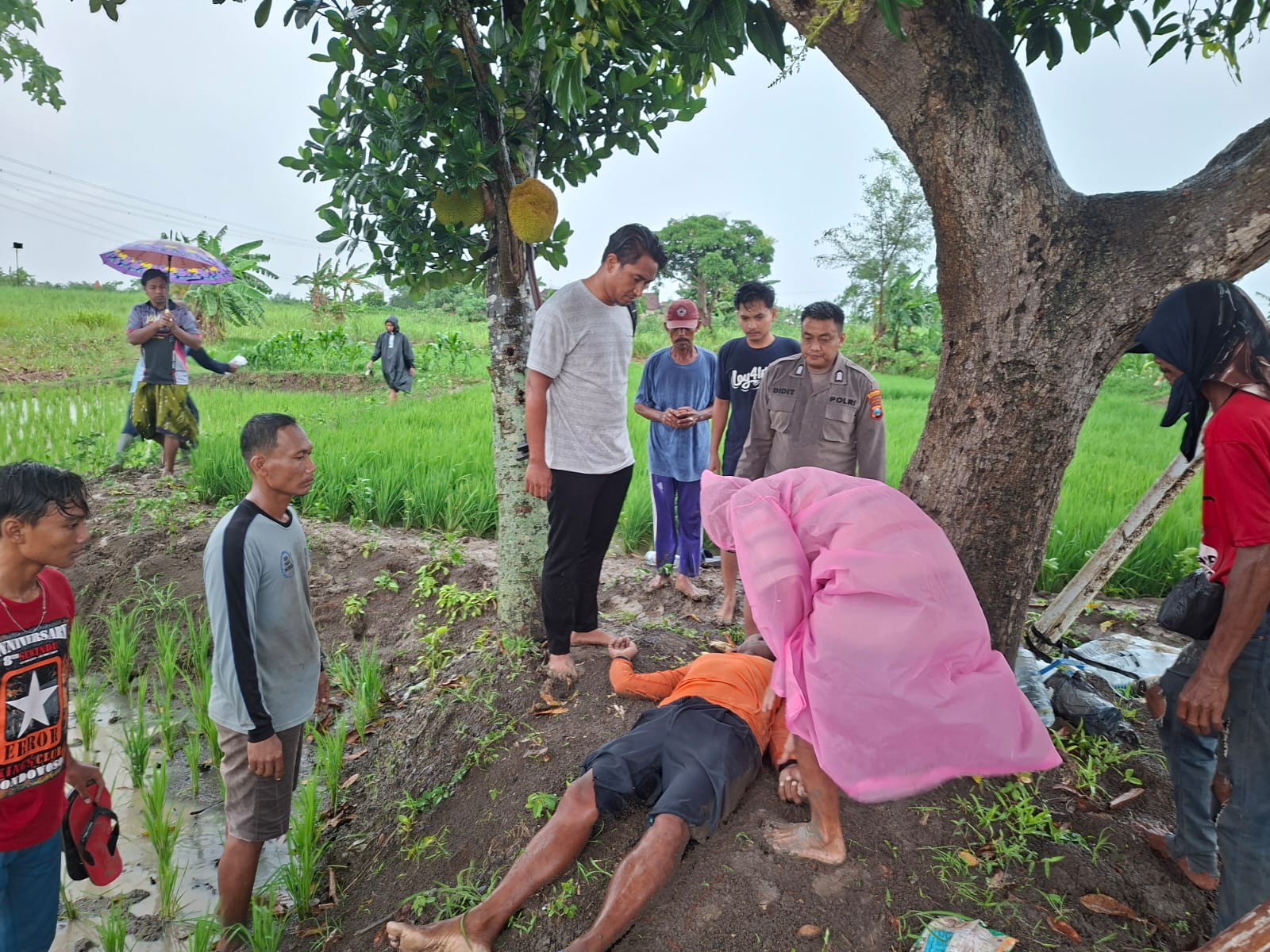 DIEVAKUASI : Anggota Polsek Balongpanggang dibantu warga dan tim medis saat melakukan evakuasi korban tersambar petir di area persawahan di Dusun Kedondong Desa Ngampel.