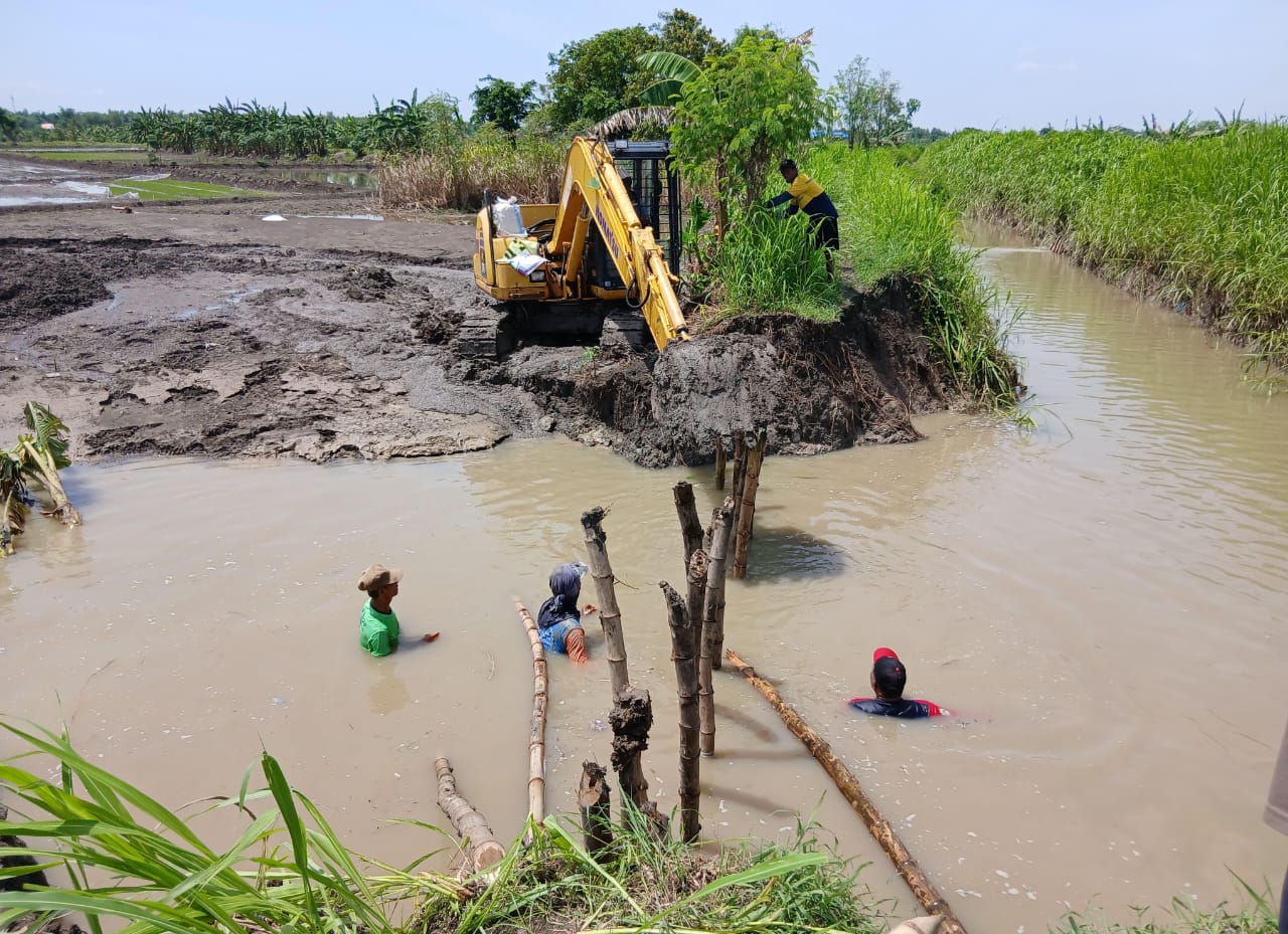 KONDISI : Tanggul jebol di anak sungai kali lamong di wilayah Gresik Selatan.