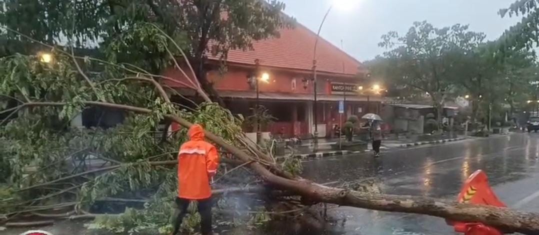 EVAKUASI: Personel BPBD Kabupaten Gresik saat berjibaku mengevakuasi batang pohon yang tumbang menutupi jalan kemarin lusa.