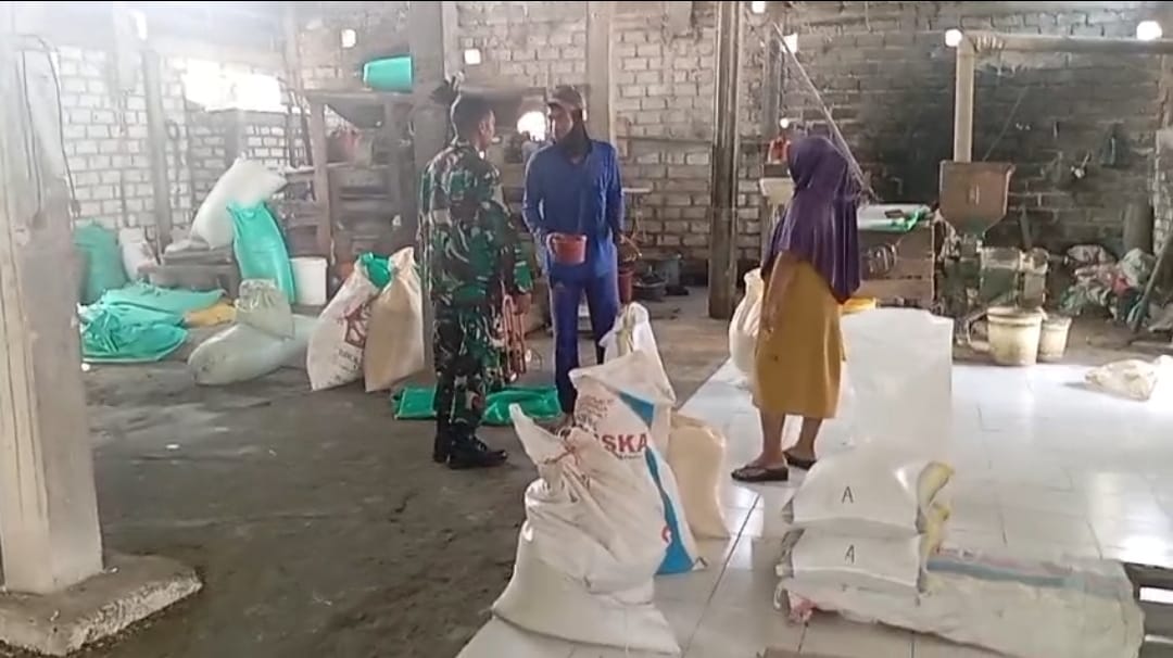 MELIHAT : Sertu Abdul Rokhim, Babinsa Koramil Duduksampeyan, saat meninjau langsung proses penggilingan dan kualitas gabah di tempat selepan padi Desa Tambakrejo.
