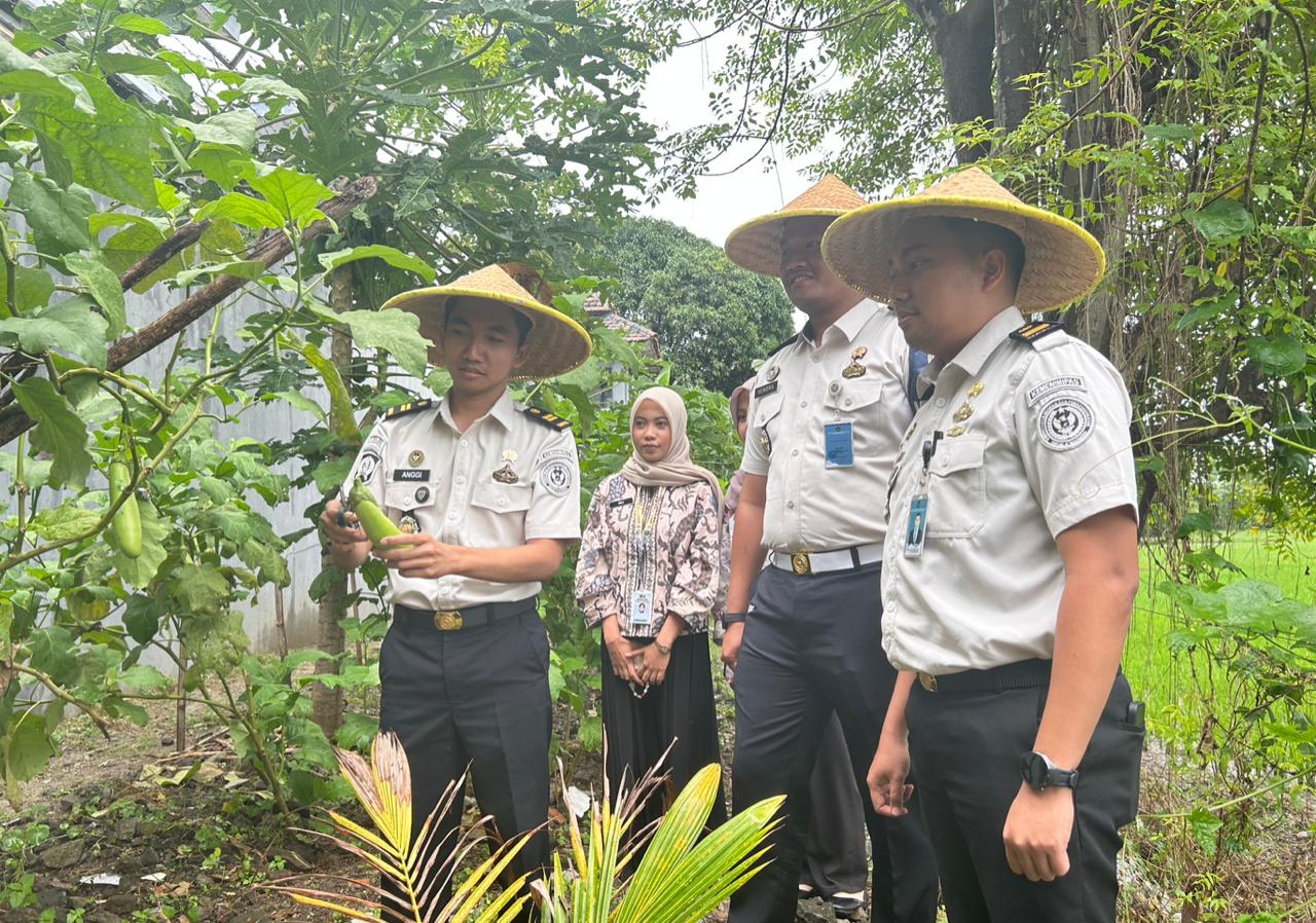 PANAEN RAYA : Petugas Rutan kelas IIB Gresik saat memanen sayuran dan ikan lele yang ditanam dan dibudidayakan di lingkungan Rutan, serta mengikuti panen raya serentak Pemasyarakatan.