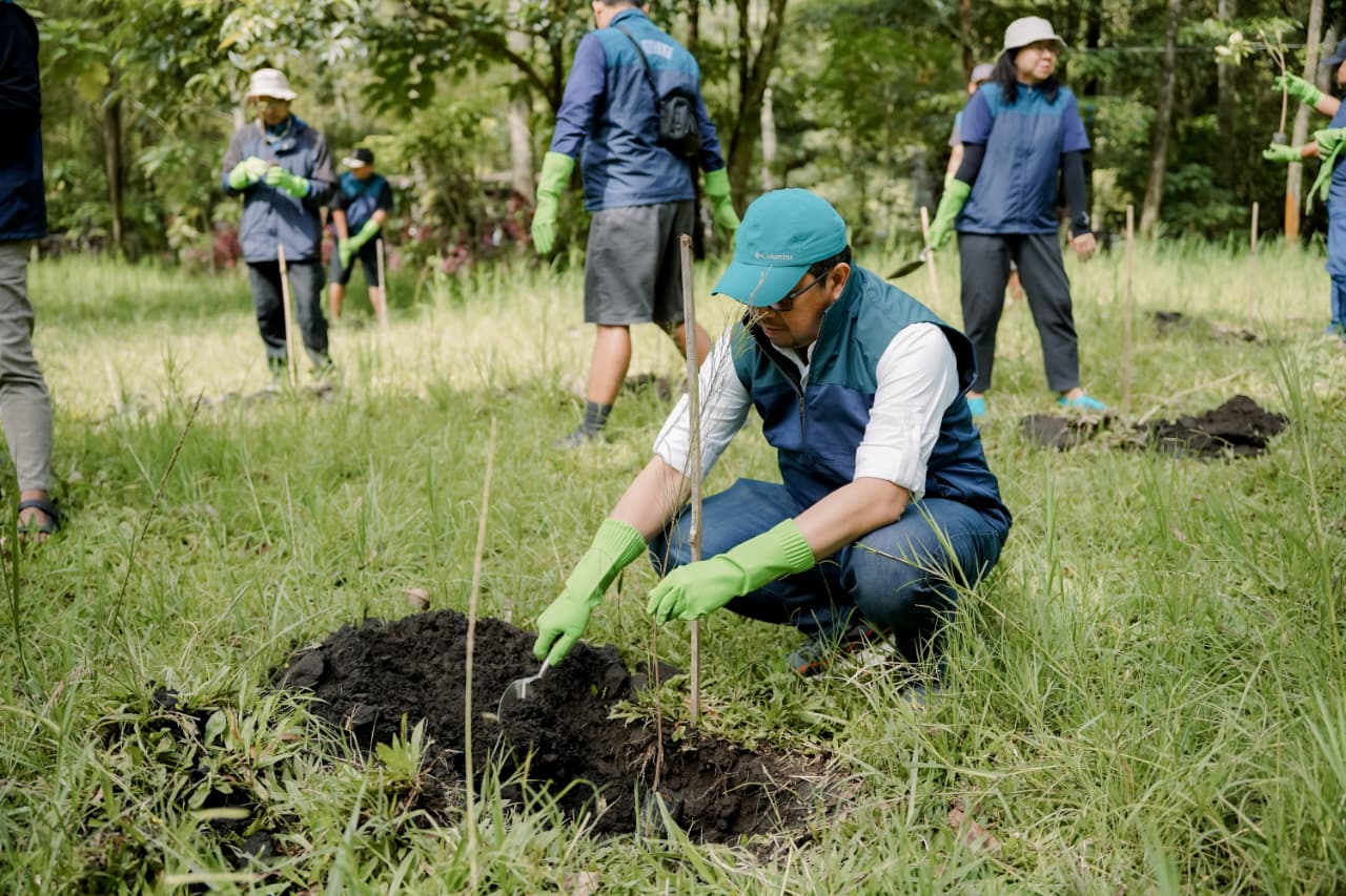 Direktur Utama TPS, Wahyu Widodo, sedang menanam bibit pohon pinus pada Sabtu (31-1) di Coban Talun, Kota Batu.