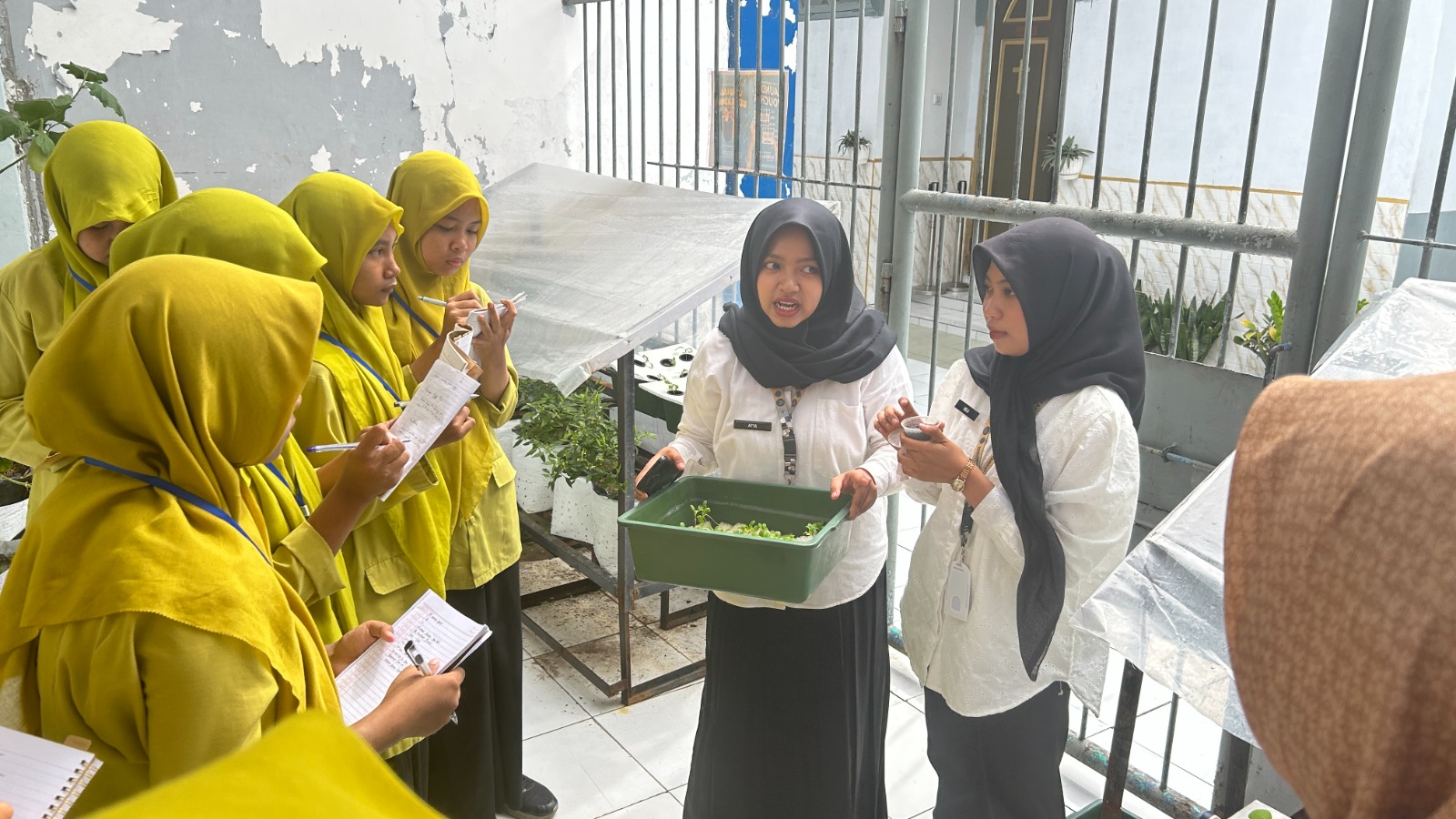HIDROPONIK : Tim Pertanian MagangHub serta didampingi dua petugas staf Sub Seksi Pelayanan Tahanan Rutan Gresik saat memberikan edukasi dan pelatihan Hidroponik bagi Siswa