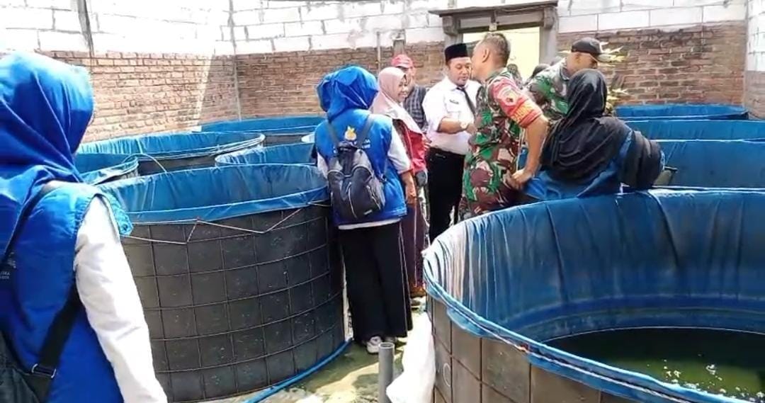 MENINJAU : Para anggota TNI meninjau budidaya ikan lele di Kecamatan Gresik. 
