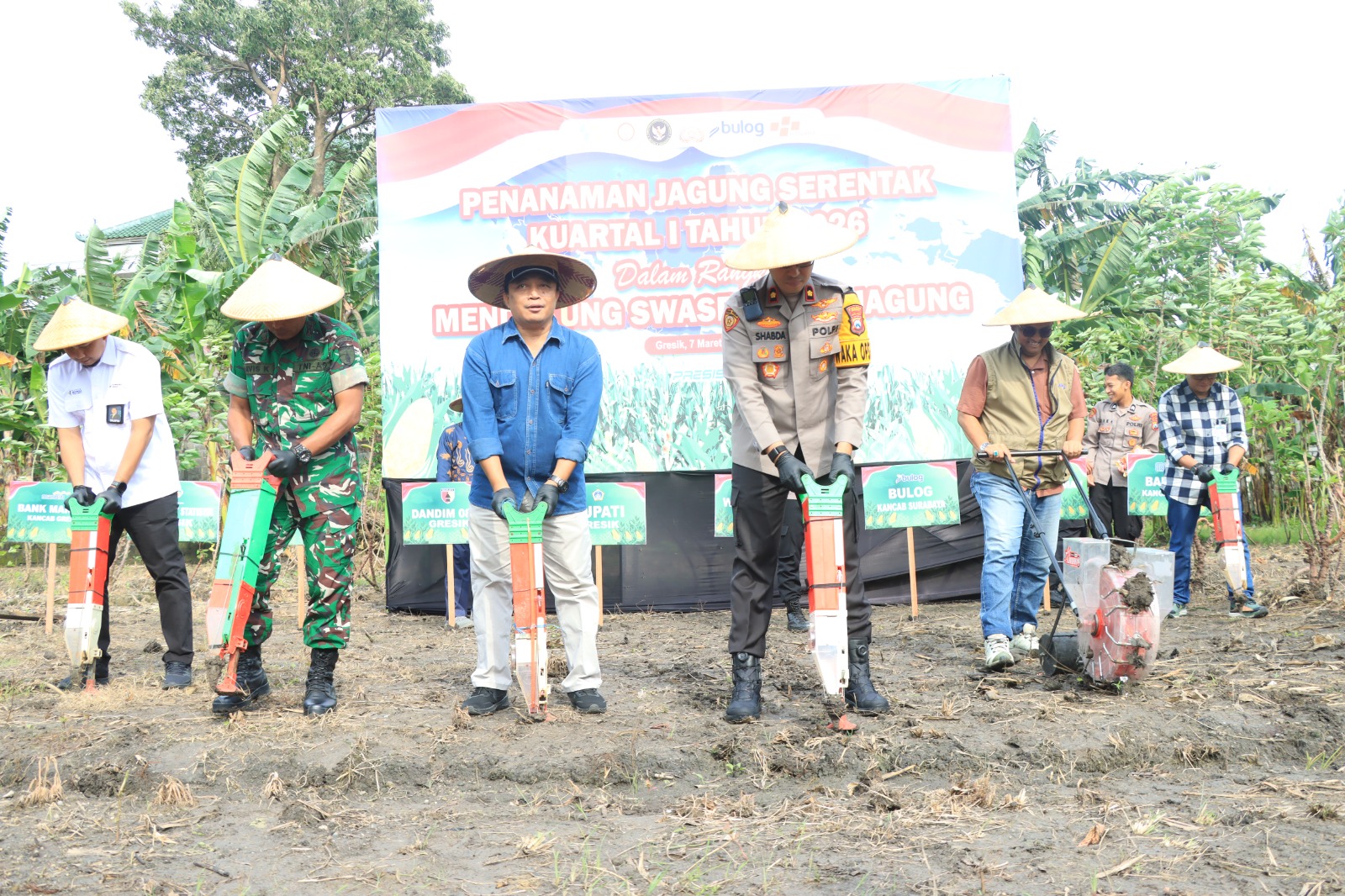 KOMPAK : Polres Gresik Bersama Forkopimda saat tanam gagung 1,2 Hektare di Kecamatan Kebomas, Dukung Swasembada Pangan Nasional.