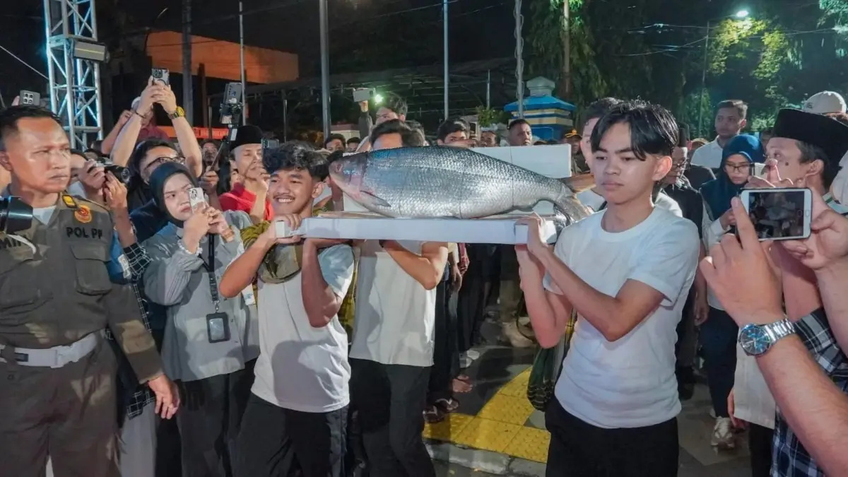 KONTES: Suasana kontes bandeng kawak 2026 akan digelar meriah. (Dok/Radar Gresik) 