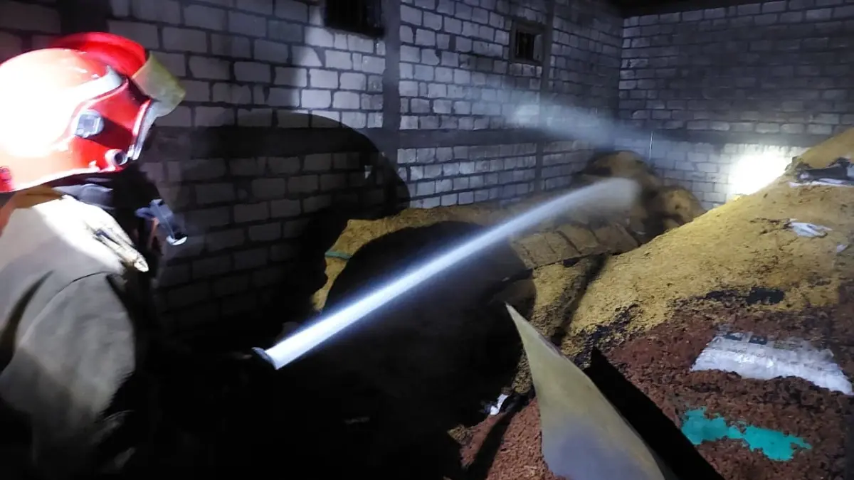 PEMADAMAN : Petugas Damkar Gresik saat melakukan pemadaman kebakaran penggilingan padi di Desa Karangsemanding, Kecamatan Balongpanggang, Gresik.