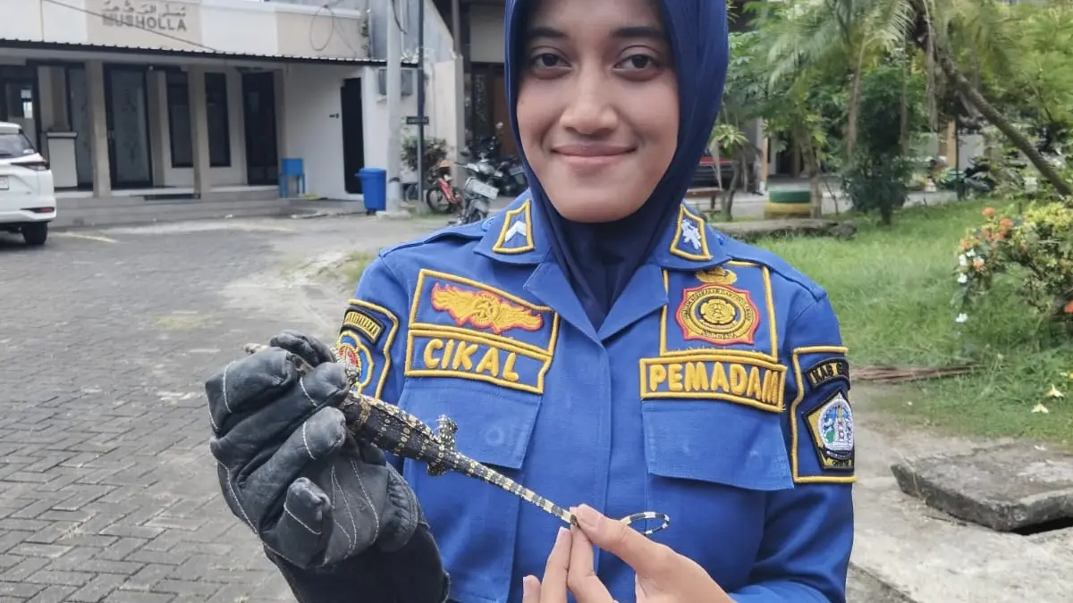 DIEVAKUASI: Petugas wanita Damkarla Gresik saat melakukan evakuasi biawak yang masuk rumah warga di Perumahan Andalusia, Kelurahan Sidomukti, Kecamatan Kebomas. (Yudhi/Radar Gresik) 