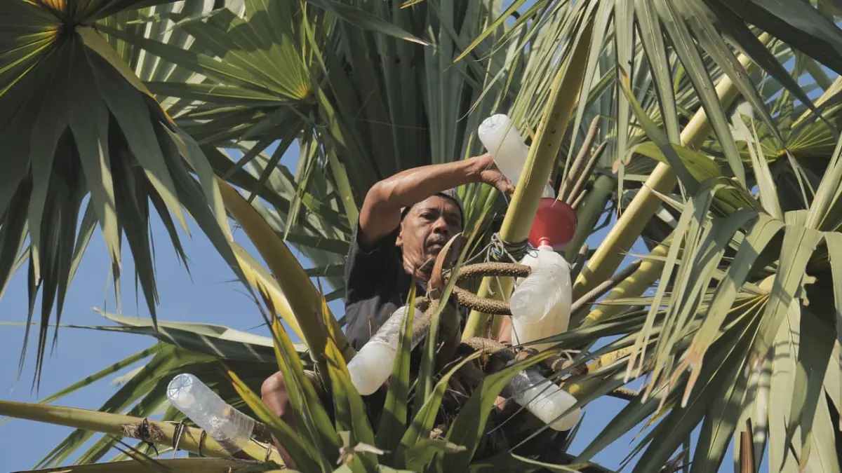 Keberhasilan Desa Hendrosari mencerminkan model pengembangan ekonomi desa yang terintegrasi, berbasis potensi lokal, serta didukung oleh kolaborasi multipihak.