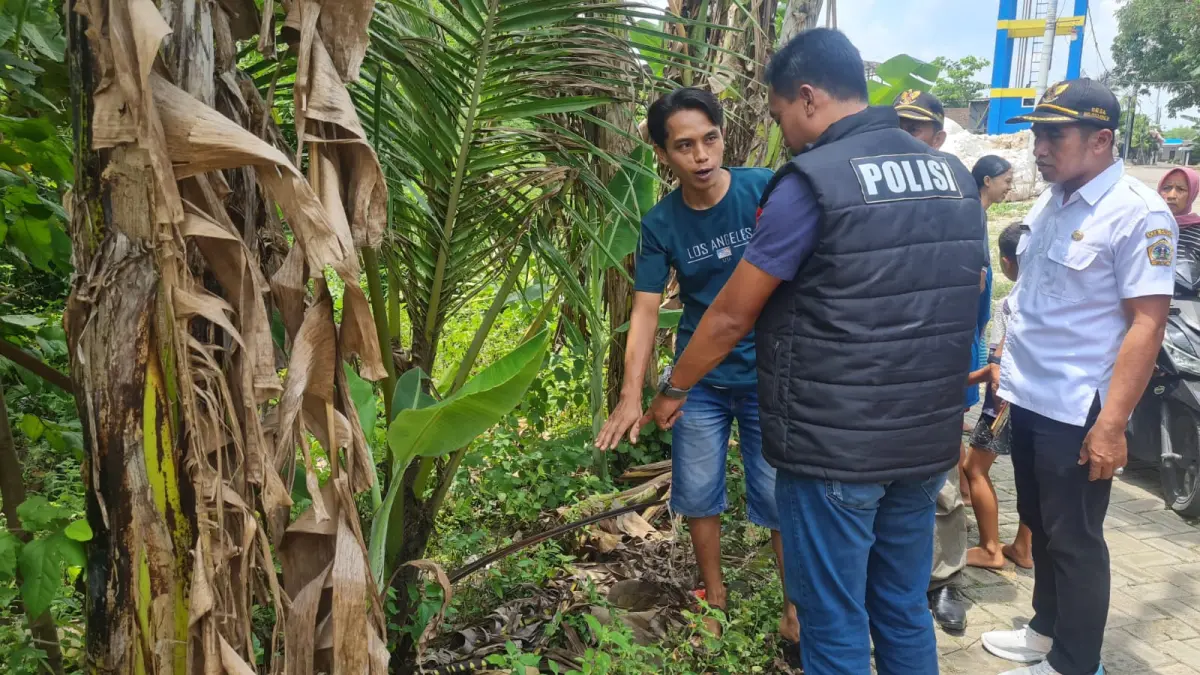 Pilu : Polisi saat melakukan olah TKP penemuan mayat bayi laki - laki dekat Jalan Desa Mojosarirejo, Kecamatan Driyorejo, Gresik. (Dok/Radar Gresik) 