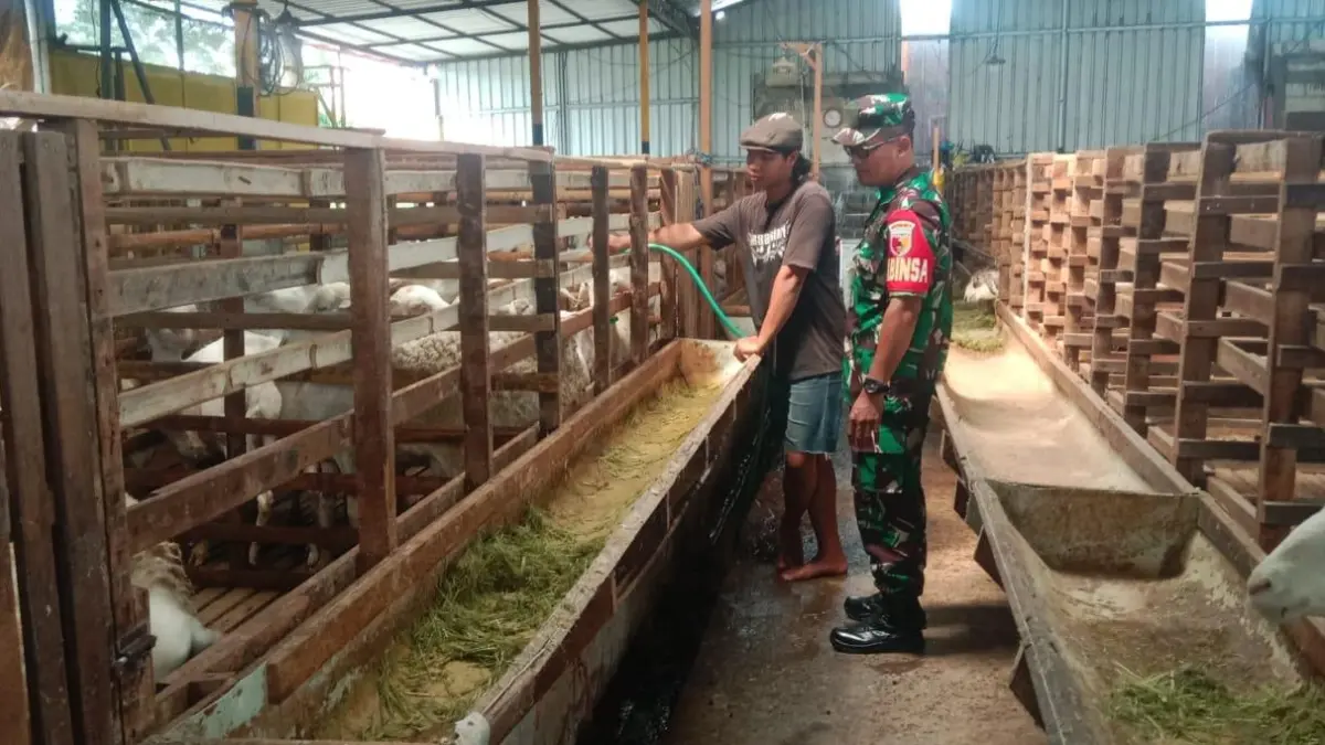 Detail : Para Babinsa saat melihat pengusaha kambing di Balongpanggang Gresik. (Fajar/Radar Gresik) 