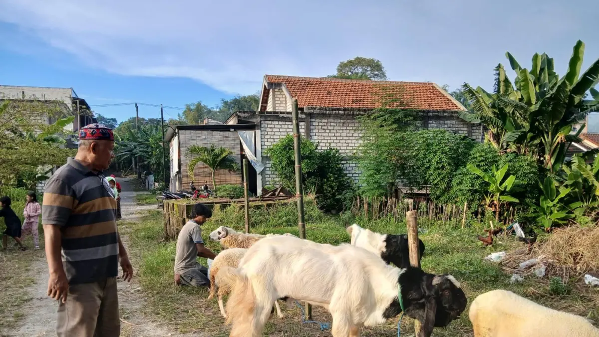 Lapak: Suasana salah satu titik penjualan hewan kurban. Dispertan Gresik terus melakukan pengawasan kesehatan ternak guna menjamin kelayakan hewan kurban tahun 2026. (Ist/Radar Gresik) 