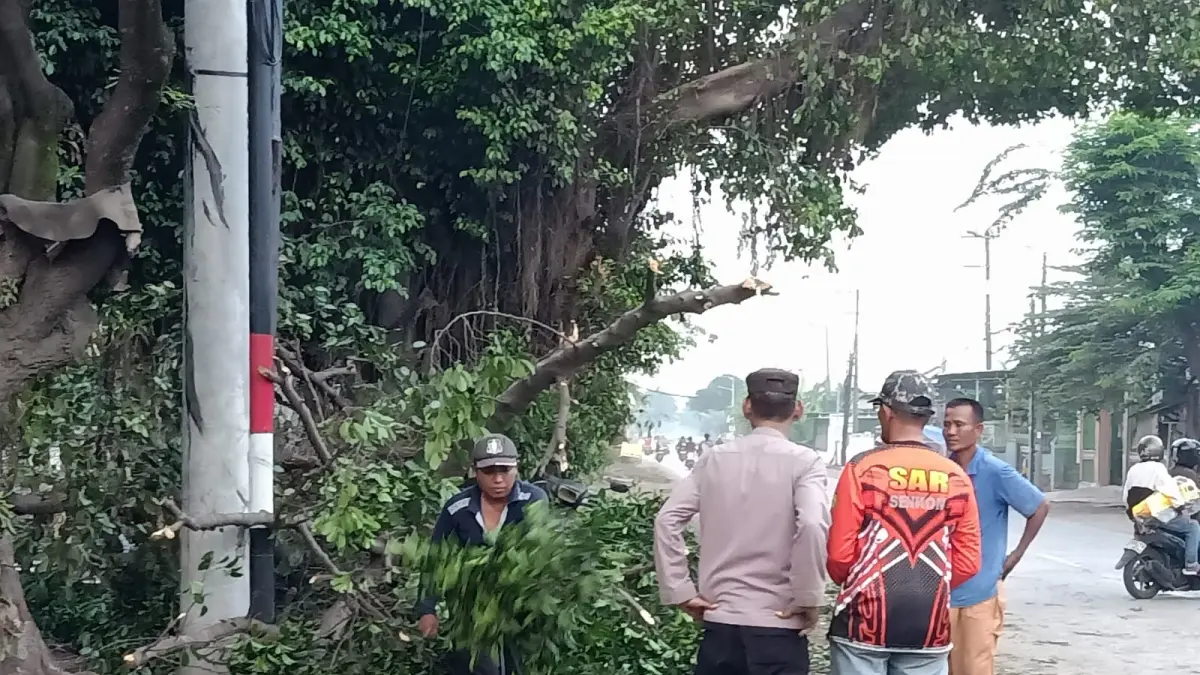 Tertimpa Pohon : Sebuah mobil Suzuki Karimun Estilo saat tertimpa pohon beringin yang tumbang di Jalan Raya Sumengko, Desa Sumengko, Kecamatan Wringinanom, Gresik. (Ist/Radar Gresik) 