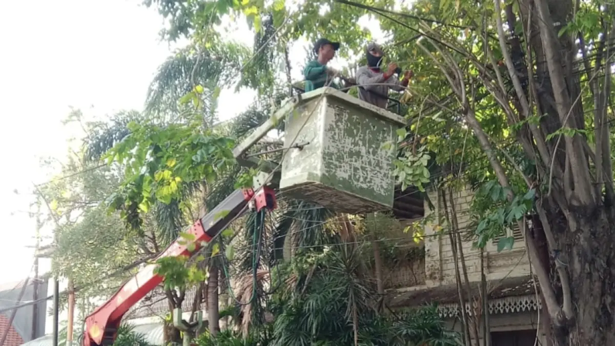 Giat : Petugas DLH di lapangan melakukan pemotongan dan perantingan pohon yang dinilai rawan atau mengganggu fasilitas umum. (Ist/Radar Gresik) 
