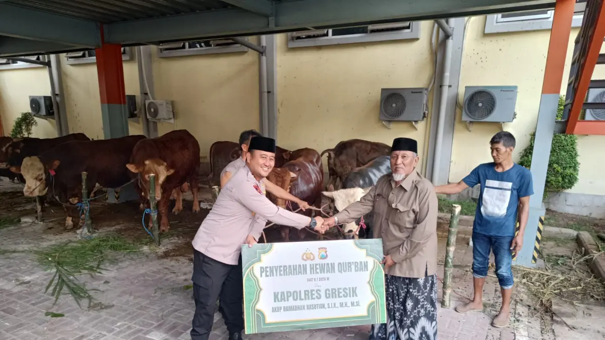DISALURKAN: Kapolres Gresik AKBP Ramadhan Nasution saat menyerahkan secara simbolis bantuan hewan kurban Iduladha 2026 kepada MUI Kabupaten Gresik. (Yudhi/Radar Gresik) 