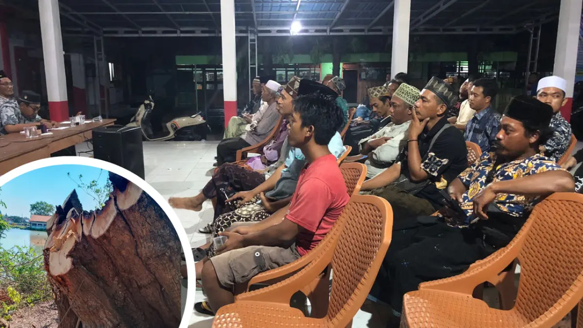 Kondisi pohon sakral yang tumbang dan roboh di area telaga Dusun Petis, Desa Petisbenem, Kecamatan Duduksampeyan, Gresik, setelah diduga ditebang tanpa izin.(Ist/Radar Gresik) 