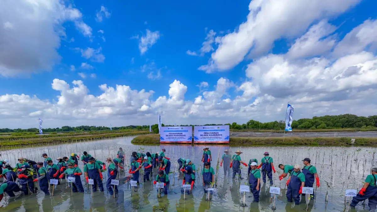 DLH dan PT Freeport menanam mangrove di Kecamatan Manyar. (Ist/Radar Gresik) 