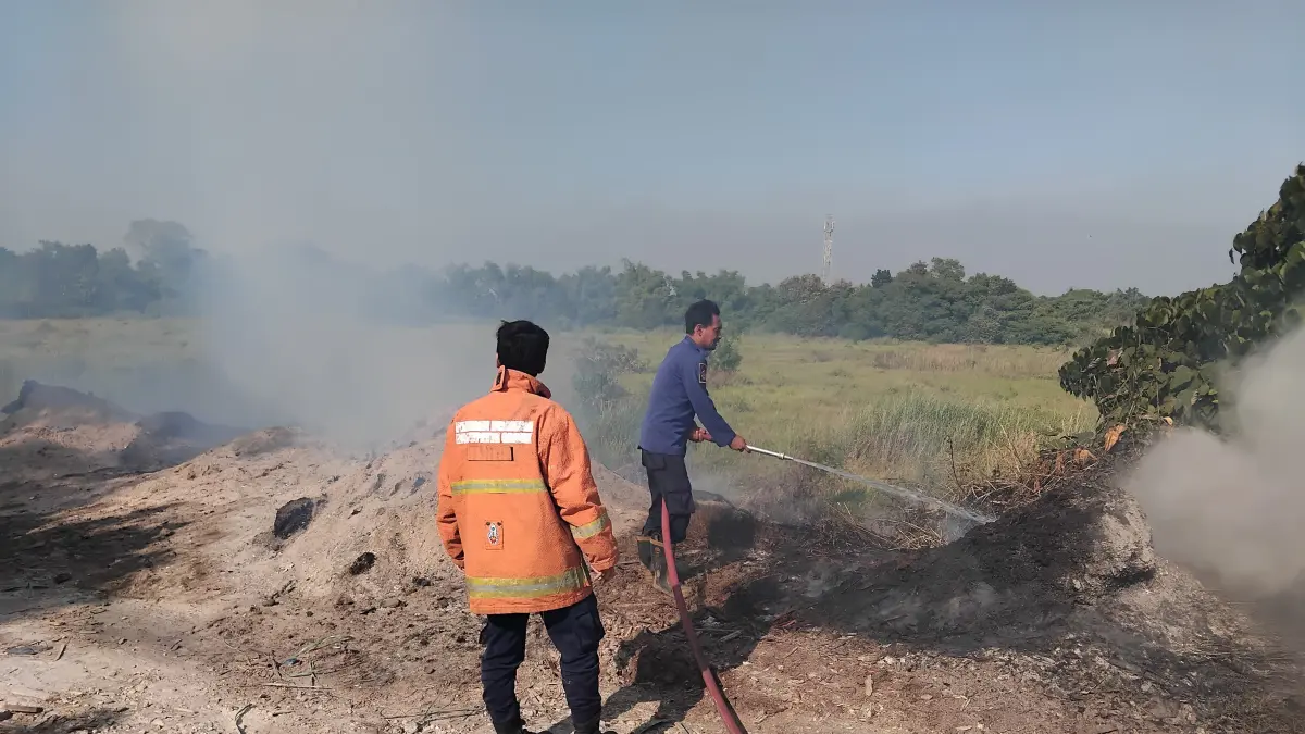 Petugas pemadam kebarkan saat memadamkan kebakaran  alang Alang dan serbuk kayu menimbulkan asap tebal yang dikeluhkan warga sekitar karena telah berlangsung selama tiga hari. (Ist/Radar Gresik) 