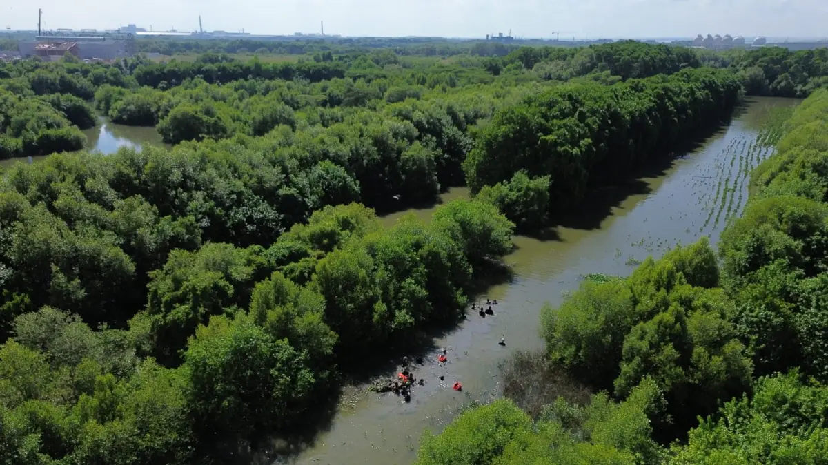 PII Gresik menegaskan pentingnya menyeimbangkan program hilirisasi industri dengan investasi lingkungan melalui aksi penanaman 2.000 mangrove di pesisir Manyar.