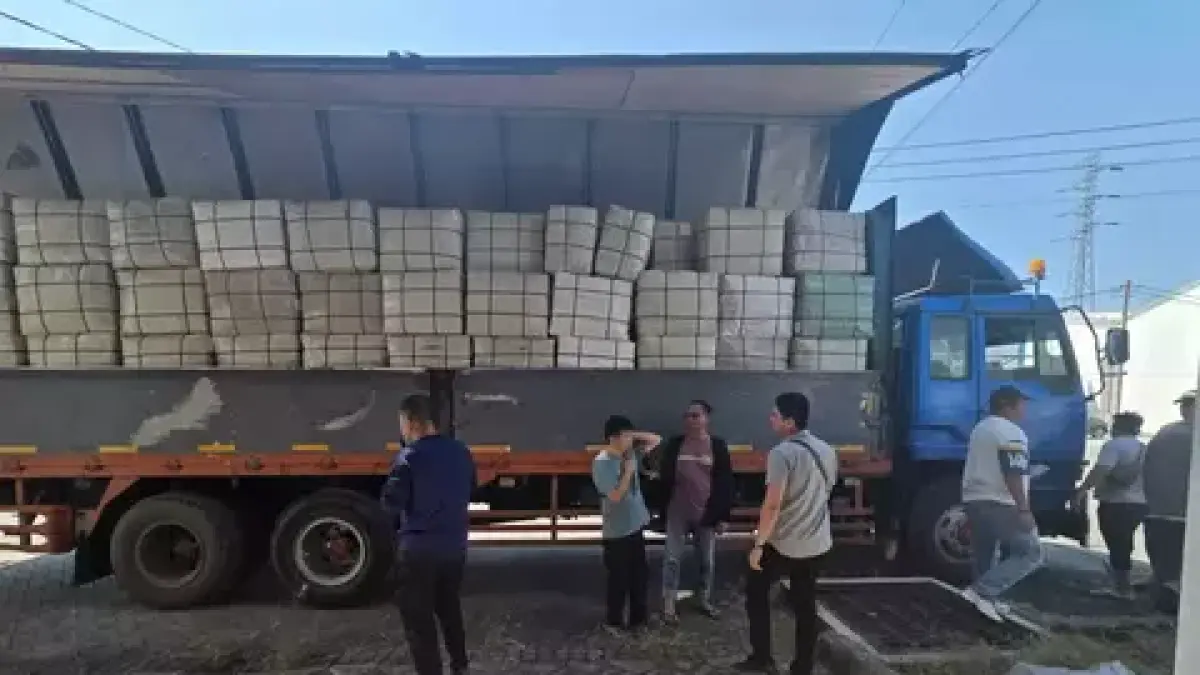Ganja dengan berat lebih dari 3 ton yang baru saja mendarat di Gresik berhasil ditangkap oleh petugas BNN.