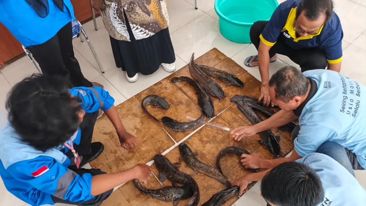 Warga binaan Rutan Gresik saat belajar teknik memilih indukan ikan lele dan cara pembenihannya untuk di budidayakan mendukung program presiden ketahan pangan di balik jeruji. (Foto : Yudhi/Radar Gresik) 