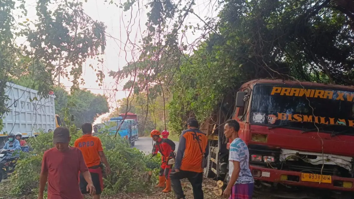 DIEVAKUASI : Petugas BPBD saat melakukan evakuasi pohon tua tumbang menimpa sebuah Truk di tepi Jalan Raya Desa Raci Tengah, Kecamatan Bungah, Gresik. (Foto : Ist/Radar Gresik) 
