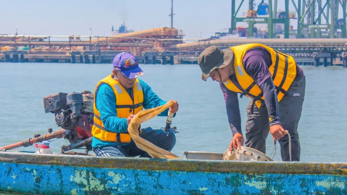 PT Terminal Teluk Lamong (PT TTL) memperkuat komitmen pelestarian lingkungan dengan menggandeng Pusat Riset Sistem Biota dari Badan Riset dan Inovasi Nasional (BRIN). (Foto : Ist/Radar Gresik) 