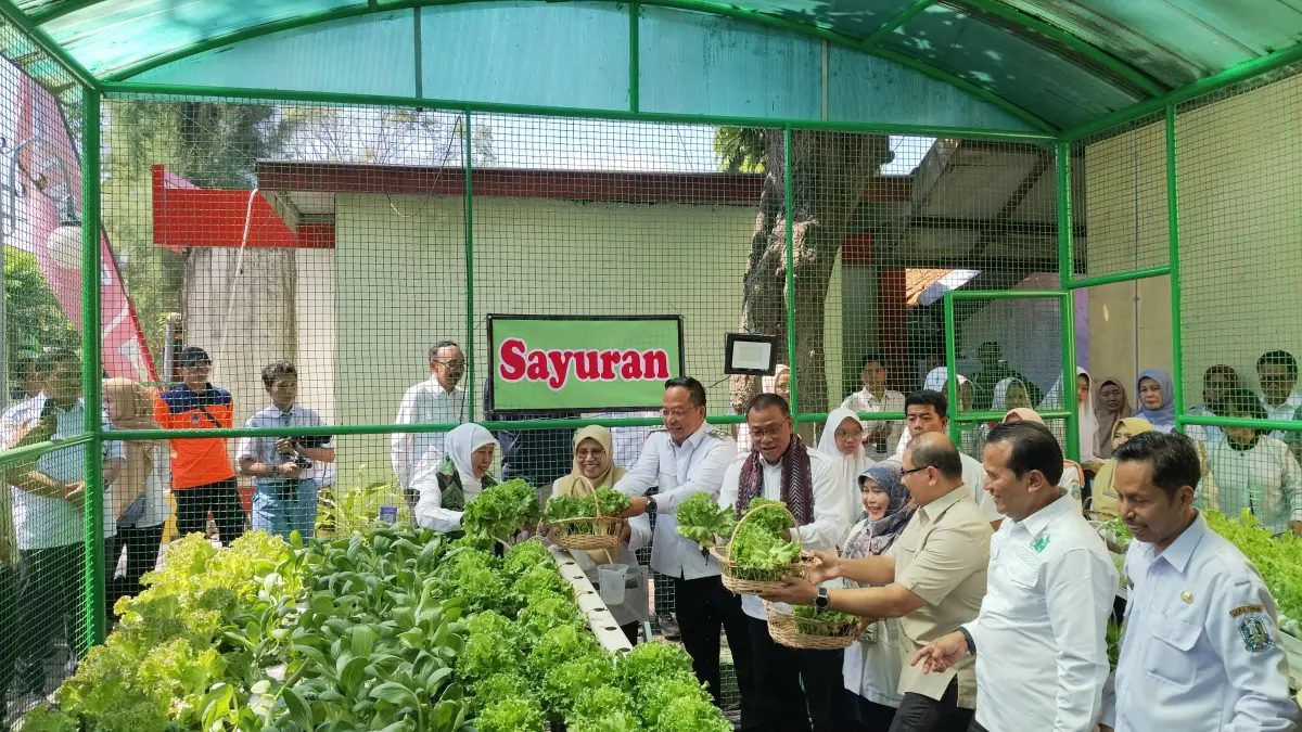 Menteri LH bersama Gubernur Khofifah turut melakukan panen sayuran bersama di greenhouse SMAN 1 Gresik. (Foto : Riri/Radar Gresik) 