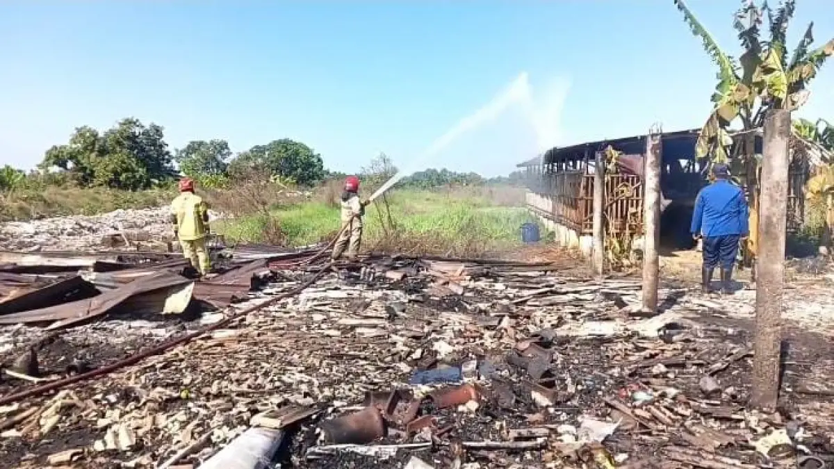 Petugas Damkar Pos Menganti saat melakukan pemadaman kebakaran kandang ternak di Desa Pengalangan, Kecamatan Menganti, Kabupaten Gresik. (Foto : Ist/Radar Gresik) 