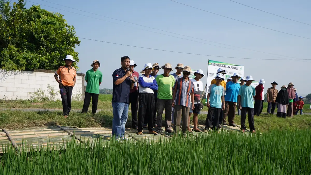 EKOSISTEM PERTANIAN TANGGUH : PT Petrokimia Kayaku bersinergi dengan pemerintah, akademisi, kelompok tani, dan distributor untuk memperkuat ekosistem pertanian hulu-hilir serta menekan risiko gagal panen melalui riset, pengawalan musim tanam, dan penyediaan produk legal berkualitas. (IST/ RADAR GRESIK)